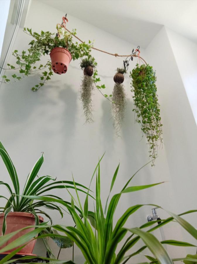 Apartament Austin @ Novo 8 Melaka Zewnętrze zdjęcie